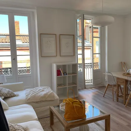 Capitole - Appartement T2 Au Coeur De La Ville Rose Toulouse Exterior photo